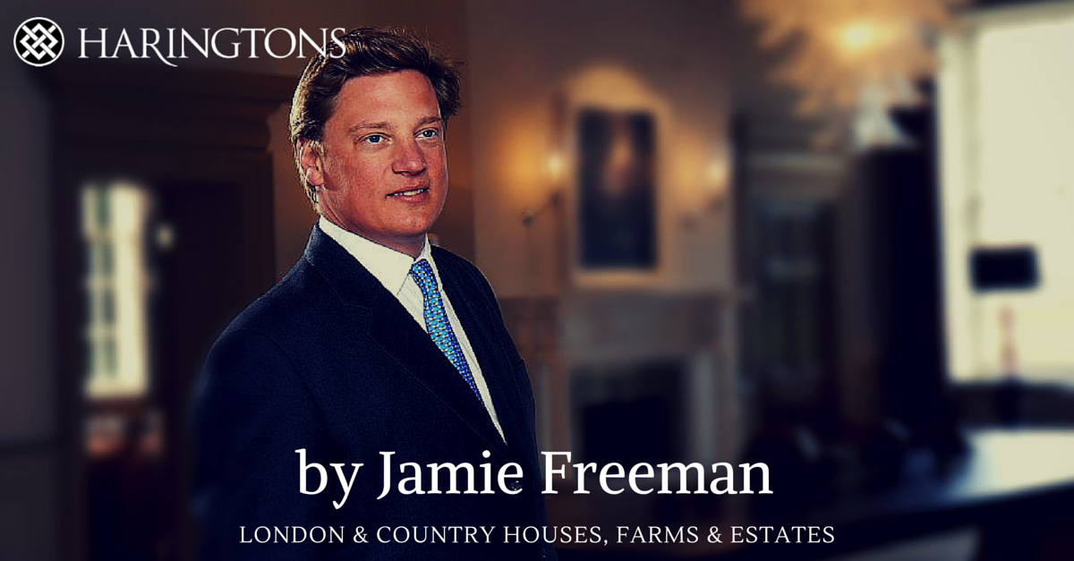 by jamie freeman Haringtons Property Buying Agency